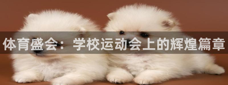 球客岛：体育盛会：学校运动会上的辉煌篇章
