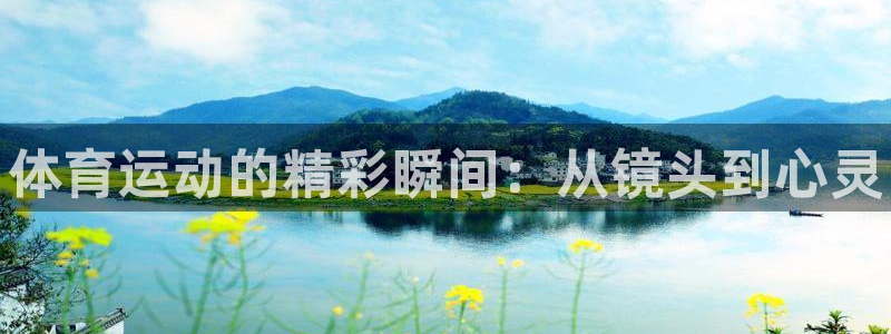球客岛：体育运动的精彩瞬间：从镜头到心灵