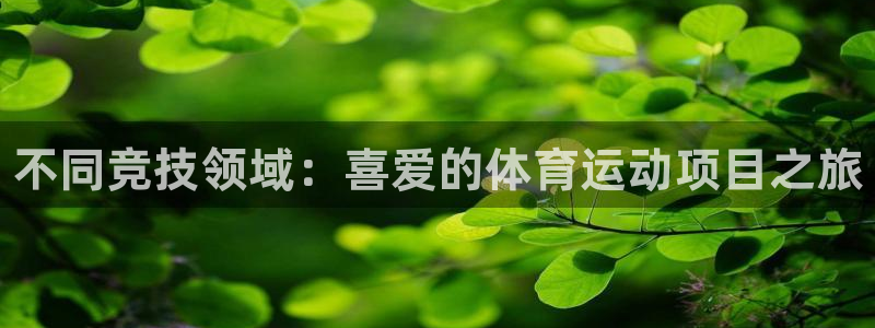 球客岛：不同竞技领域：喜爱的体育运动项目之旅