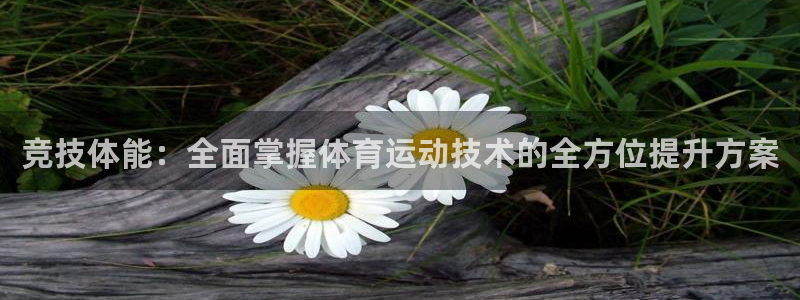 球客岛：竞技体能：全面掌握体育运动技术的全方位提升方案